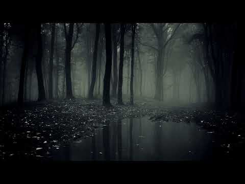 Monkey play Fortnite for first time