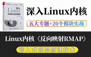【深入理解Linux内核底层原理】剖析Linux内核《反向映射RMAP》|内存调优/文件系统/进程管理/设备驱动/网络协议栈