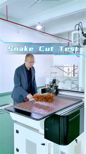 Snake Shape Cutting on PU Leather | CNC Knife Cutting Machine (IBON)