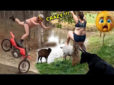 Crazy Funniest Videos Ever In The World LEVEL 42 | Hilarious videos | Try Not To Laugh Challenge