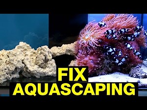 Hate Your Aquascape? 10 Next Level Fixes for Your Reef Tank!