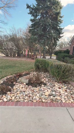 Which one was a quarterback throw