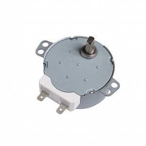 [Hot Item] Tdy 50 Synchronous Gear Motor 4W for Electric Control