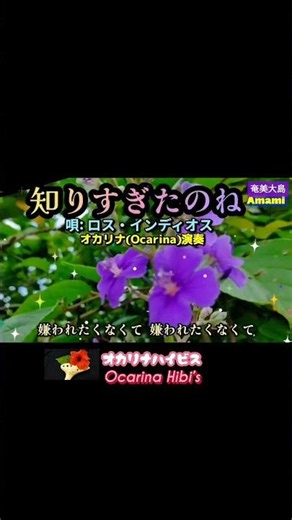 知りすぎたのね·オカリナ演奏·昭和歌謡·ロスインディオス·Japanese Song·Shorts·No632·1993曲目· #オカリナ #昭和歌謡 #カラオケ #奄美大島