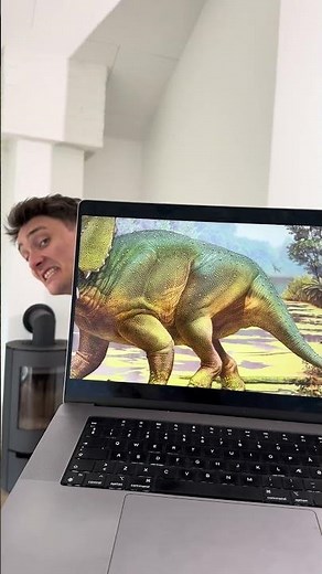 Rawr 🦖