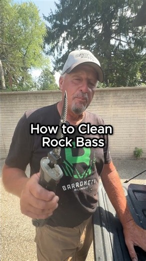 PERFECT Rock Bass Fillet - No Red Meat Surprise! #fishing #fillet #tutorial