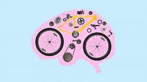 The teenage brain - BBC Bitesize