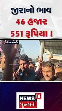 Rajkot Market News | જીરાનો ભાવ 46 હજાર 551 રૂપિયા | Auction | Market Yard | N18S
