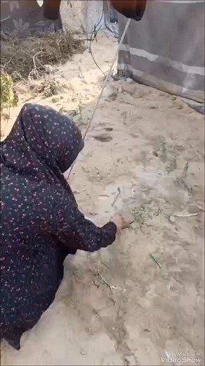 141 reactions · 7 comments | Happy birthday to my beautiful friend Taghreed. I hope you had a wonderful day. I with we could have had our birthdays together considering how close they are! Maybe one day when you are all free♥️ @yamen50856 https://chuffed.org/project/148775-please-help-my-dear-friend-tahgreed | Emma Haswell | Facebook