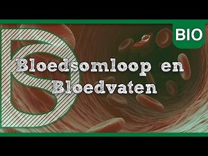 Biology - Circulation and Blood Vessels (Circulation)