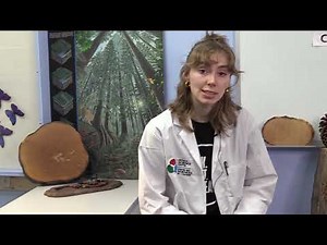 Le cycle des saisons | 1re année