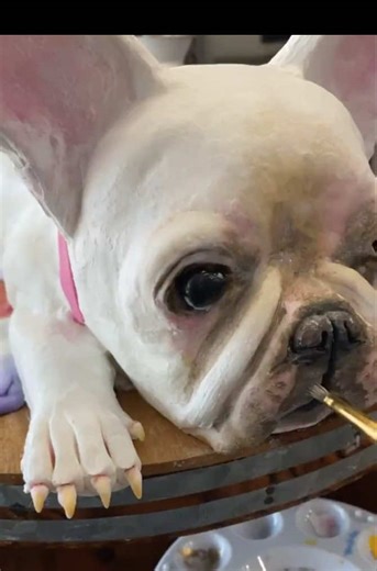 French bulldog Cake #frenchbulldogcake #edibleart #fyp #cakeart #3Dcake