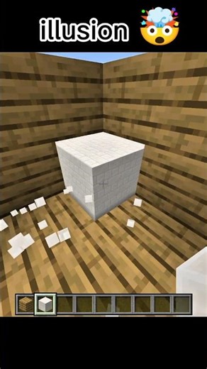 illusion in 🤯💀Minecraft #minecraft #viral #viral
