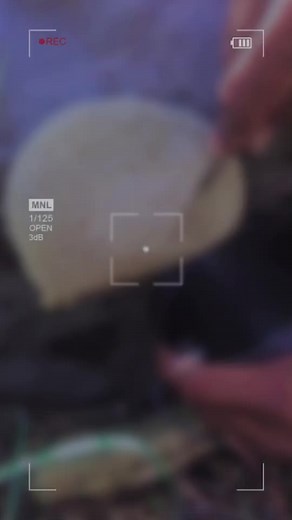 Manipulating Honeycomb: A Close-Up Experience