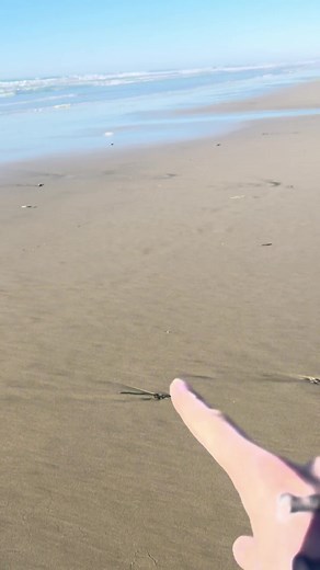 Extremely Satisfying Smashing Sea Foam. 🪸This foam is actually a natural combination of healthy bacteria called algae bloom. #satisfying #nature | Jacob Colvin