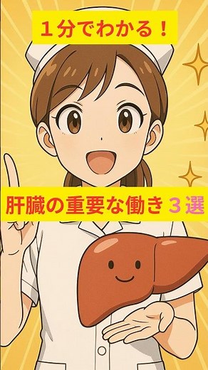 #肝臓の働き #肝臓 #肝機能