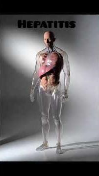 Hepatitis #HepatitisAwareness #LiverHealth #HumanLiver #3DAnimation #HealthEducation