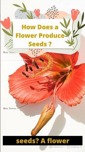 How Does a Flower Produce Seeds?