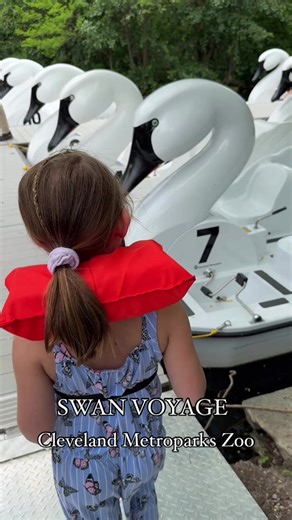 The Cleveland Metroparks Zoo really took it to the next level this summer! We had so much fun riding the new Swan Voyage paddleboats. My kids loved being able to steer and help peddle around the beautiful pond. The paddleboats are $15 per boat (not per rider 👏🏻) and the boat can fit up to 5 passengers. Lifejackets are required for Children under 10 years old. Life jackets are available but optional for ages 10 & up. #clevelandzoo #cleveland #visitohio