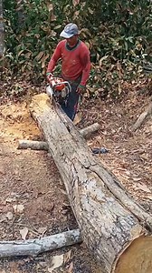 33K views · 485 reactions | Skill in splitting wood using a chainsaw | Salwa vlog | Facebook