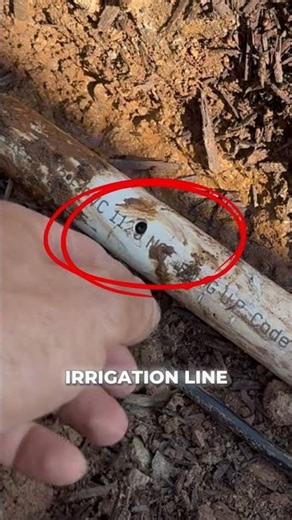 Ground Lighting Install: Watch Out for THIS Mistake 🚨