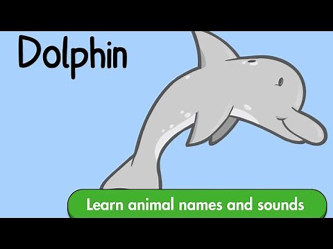 Animal Shape Builder - Jigsaw Puzzles - A fun and educational animal puzzle game for preschool kids!