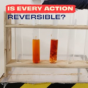 The Science Behind Le Châtelier's Principle | The Action Lab