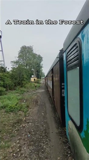India's scenic beautiful Railway Station. Dhudhwa National Park.