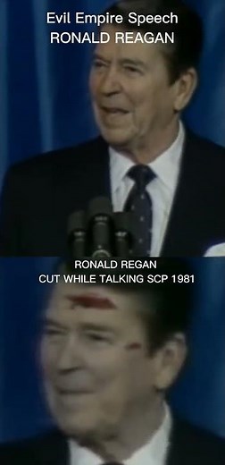 Scp 1981 Real Footage