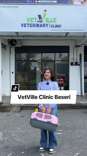 Proper Dental Care for Cats at VetVille Clinic Beseri