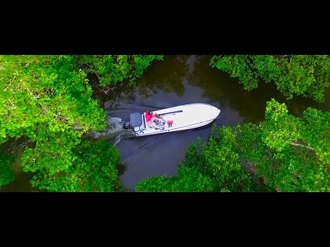 Beavertail Skiffs: Micro