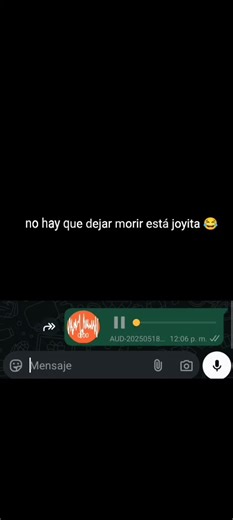 Audios Random de WhatsApp: Descarga y Diviértete