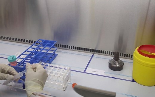 细胞凋亡的流式实验测定