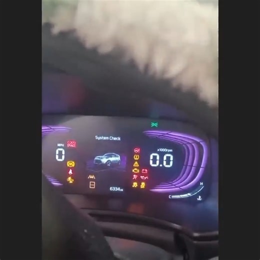 94K views · 1.2K reactions | Vehicle Won't Move Forward or Reverse! | Just Rolled In | Facebook