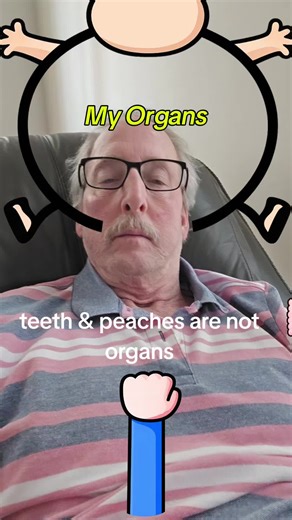 Oceanfront Getaway, Everglades Airboat & Spain Trip