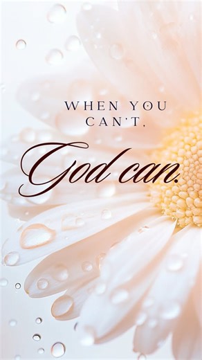 2.9K views · 60 reactions | #biblestudy #bibleverse #biblequotes #biblescripture #bibleverseoftheday #Colorado #Oklahoma #Arizona #Indiana #Pennsylvania #NewJersey #Michigan #Ohio #Florida #Illinois #texas | Truth & Grace | Facebook