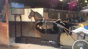 10K views · 211 reactions |  Trotting simulator at Tir Prince... | Tetrick Racing | Facebook