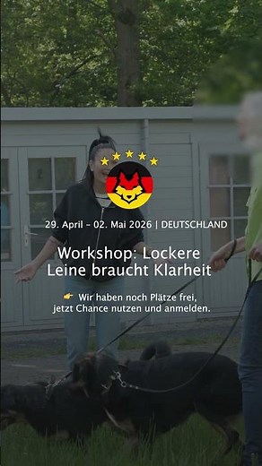 Workshop Lockere Leine braucht Klarheit DE | eDOGcation