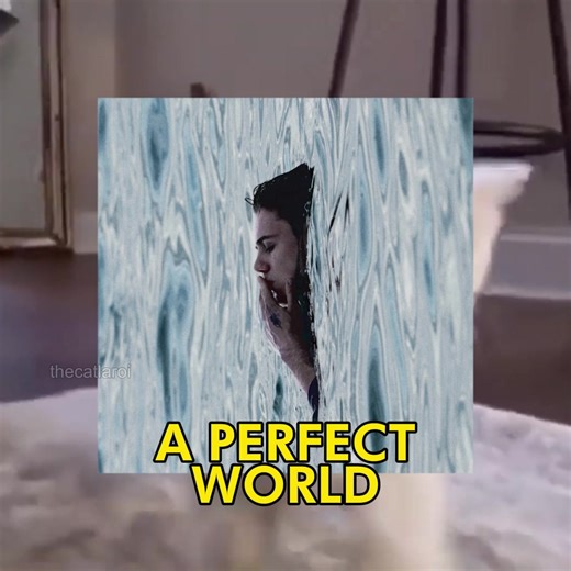 🗣️🗣️ IN A PERFECT WORLD 🔥🔥 #catcore #cat #thekidlaroi #catsoftiktok #songoftheday @The Kid LAROI.