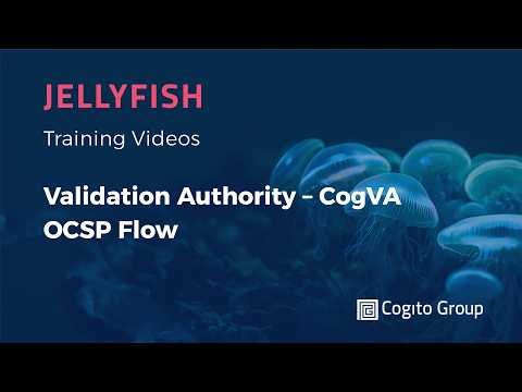 Validation Authority CogVA - OCSP Flow Animation