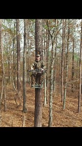 584 reactions · 13 shares | New way to sit. Same Summit standard. Check out the new lineup! | Summit Treestands | Facebook