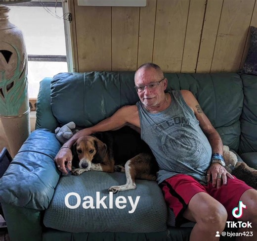 15 beautiful adoptions during the month of August! Thanking our wonderful adopters for making each of our precious beagles a part of your loving family❤️🐾 | SouthEast Beagle Rescue