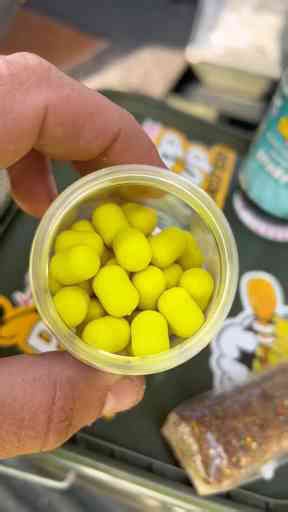 Mastering Fishing Styles The Best Techniques for Every Angler