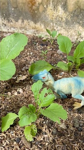 Allosaurus: The Most Feared Predator of the Jurassic 🦖