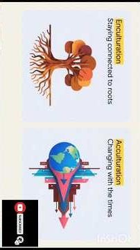 enculturration and acculturation #sociology#ugcnet