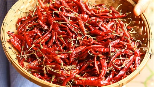 3.4K views · 21 reactions | The future of productive and sustainable farming relies on purposeful innovation today. Through our non-stop research, we’re identifying future threats, including new and emerging pests and diseases, and developing the cutting-edge solutions to help food crops, and habitat, thrive. Read more about how innovation is at our core: https://bit.ly/4ckPufB #ProduceforTomorrow #InItForGood | Corteva Agriscience | Facebook