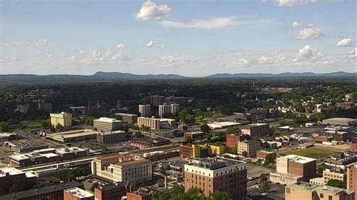 Need help with city services? Springfield 311 has you covered