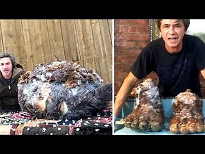 "DISTURBING" - This Man Claimed He Found & Shot Bigfoot