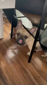 3 comments | 浪 | Johnny Flowers | Facebook