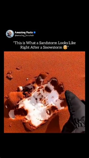 Amazing Facts on Instagram: "This graph captures the surreal moment right after a snowstorm, when a sandstorm begins to roll in. The ground is still covered in white snow, but a towering wall of brown dust rises in the distance, moving rapidly across the landscape. The second graph focuses on the collision of opposites—cold and dry, white and brown. Snow particles remain settled while sand and dust swirl violently above them, creating layered textures in the air. Follow @amaz_ing.facts12 for ins